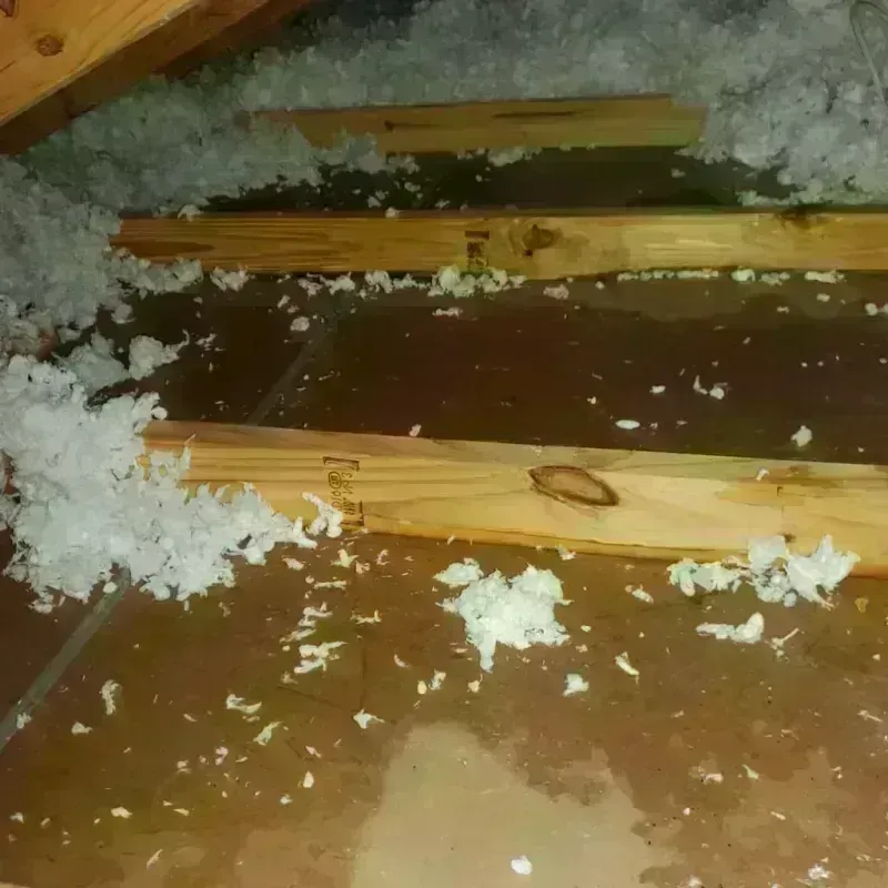 Attic Water Damage in Crainville, IL