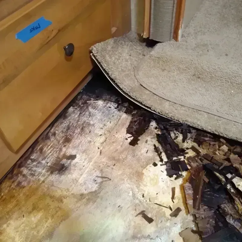 Wood Floor Water Damage in Crainville, IL